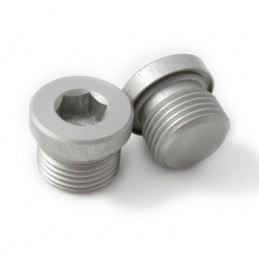 3/4 Unf-Plug