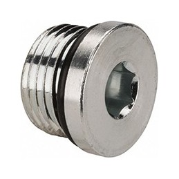 1/4 G-Plug