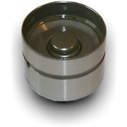 Poussoir hydraulique pour...