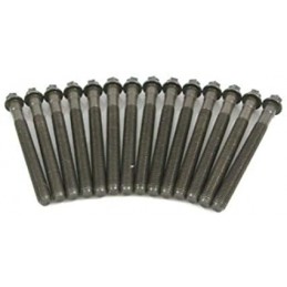 Kit vis de culasse BMW M52
