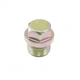 Bouchon Sonde Lambda